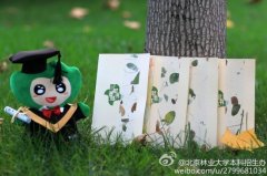 林大用树叶做录取通知书被赞最文艺(组图)